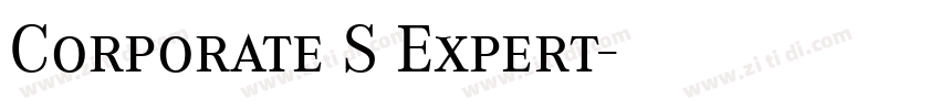 Corporate S Expert字体转换